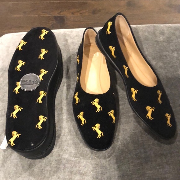 [Chloé] Sky Embroidered Velvet Ballet Flats - Picture 7 of 8